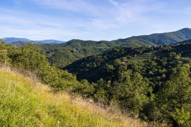 Cevennes 'in güneyinde, Sumene' in etrafındaki manzara, Ranc de Banes 'in kuzey kanadında, sabahın erken saatlerinde güneşin altında.