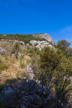 Ranc de Banes Zirvesi, Cevennes 'in güneyindeki Sümene' ye giden yürüyüş yolundan deniz seviyesinden 713 metre yükseklikte doruğa ulaşıyor.