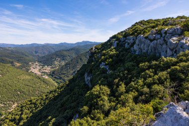 Cevennes 'in güneyindeki bir vadide, Combe Chaude Bölgesel Doğa Rezervi' nden Ranc de Banes yakınlarındaki bir vadide.