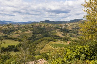 Oingt köyü yakınlarındaki Beaujolais 'in tepe ve üzüm bağlarının manzarası