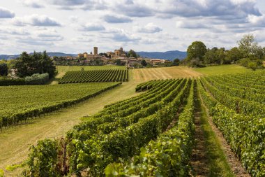 Oingt 'in ortaçağ köyü, Beaujolais bölgesinin tipik altın taşları üzerine inşa edilmiştir.