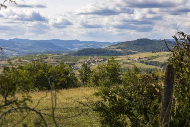 Oingt köyü yakınlarındaki Beaujolais 'in tepe ve üzüm bağlarının manzarası