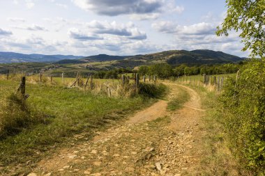 Oingt köyünün yakınındaki Beaujolais 'in tepe ve üzüm bağlarının manzarası yürüyüş patikasından.