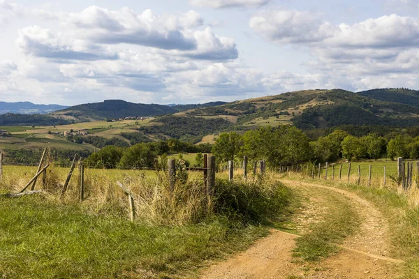 Oingt köyünün yakınındaki Beaujolais 'in tepe ve üzüm bağlarının manzarası yürüyüş patikasından.