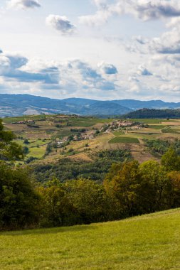 Oingt köyü yakınlarındaki Beaujolais 'in tepe ve üzüm bağlarının manzarası