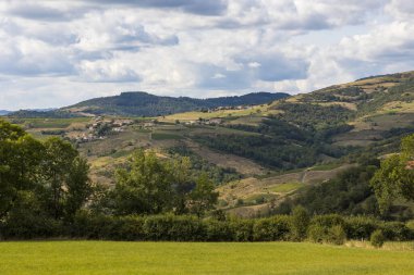 Oingt köyü yakınlarındaki Beaujolais 'in tepe ve üzüm bağlarının manzarası