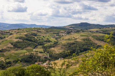 Oingt köyü yakınlarındaki Beaujolais 'in tepe ve üzüm bağlarının manzarası