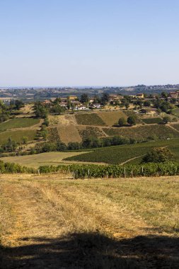 Beaujolais üzüm bağı Jarnioux köyünün yakınında, altın taşların diyarında.