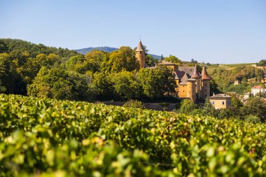 Jarnioux Şatosu, Beaujolais üzüm bağlarının 13. yüzyıldan kalma güçlendirilmiş bir kalesi.