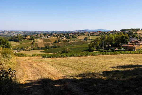 Beaujolais vineyard near the village of Jarnioux, in the land of golden stones