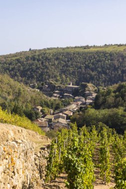 Cotes-du-Rhone adreslerinin üzüm bağlarından, dik bir yamaçtaki Ortaçağ köyü Malleval.