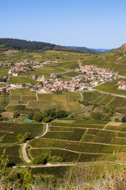 Vergisson köyü, Burgundy 'deki Pouilly-Fuisse adasının üzüm bağları arasında.