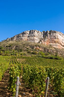 Roche du Vergisson 'daki kireçtaşı uçurumu Macon yakınlarındaki Burgundy' deki ünlü Pouilly-Fuisse adasının üzüm bağına bakıyor.