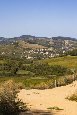 Vergisson 'dan ünlü Pouilly-Fuisse adasının üzüm bağlarıyla çevrili La Roche-Vineuse köyü.