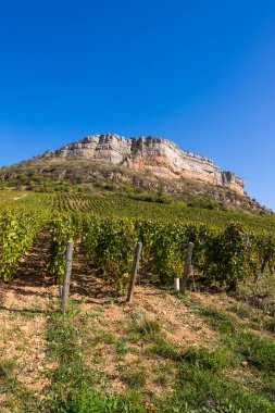 Roche du Vergisson 'daki kireçtaşı uçurumu Macon yakınlarındaki Burgundy' deki ünlü Pouilly-Fuisse adasının üzüm bağına bakıyor.