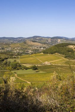 Vergisson 'dan ünlü Pouilly-Fuisse adasının üzüm bağlarıyla çevrili La Roche-Vineuse köyü.