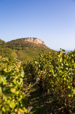 Roche du Vergisson 'daki kireçtaşı uçurumu Macon yakınlarındaki Burgundy' deki ünlü Pouilly-Fuisse adasının üzüm bağına bakıyor.