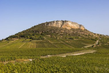 Roche du Vergisson 'daki kireçtaşı uçurumu Macon yakınlarındaki Burgundy' deki ünlü Pouilly-Fuisse adasının üzüm bağına bakıyor.