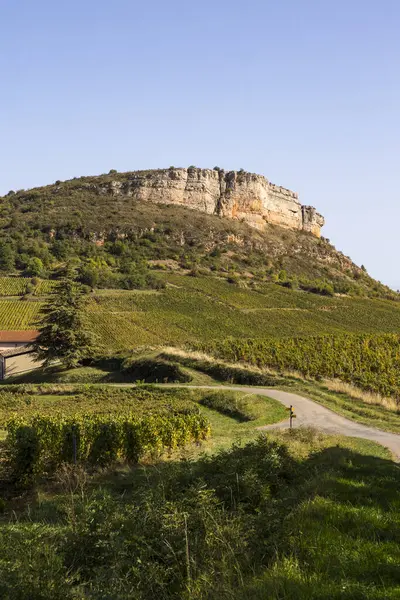 Roche du Vergisson 'daki kireçtaşı uçurumu Macon yakınlarındaki Burgundy' deki ünlü Pouilly-Fuisse adasının üzüm bağına bakıyor.