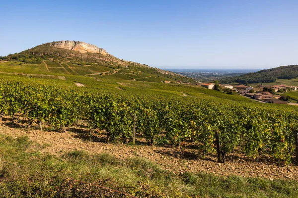 Roche du Vergisson 'daki kireçtaşı uçurumu Macon yakınlarındaki Burgundy' deki ünlü Pouilly-Fuisse adasının üzüm bağına bakıyor.