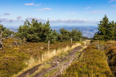 Cret de la Perdrix yakınlarında yürüyüş yolu, Pilat bölgesel doğal parkına ve Rhone vadisine bakıyor.