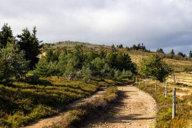 Cret de la Perdrix, Pilat topluluğunun en yüksek noktası, yamaçları büyük kayalık gneiss çığlıklarıyla oluşmuş.