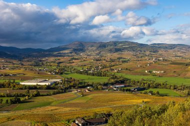 Mont Brouilly yamaçlarından Rochefort Dağı 'na kadar uzanan Beaujolais üzüm bağlarının panoramik manzarası