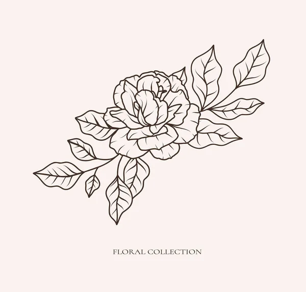Цветочный Ботанический Букет Черной Линии Цветы Розовые Листья Линии Нарисованы — стоковый вектор