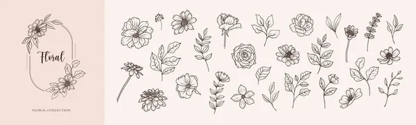 Ensemble Fleurs Botaniques Feuilles Art Ligne Noire Fleurs Feuilles Vert — Image vectorielle