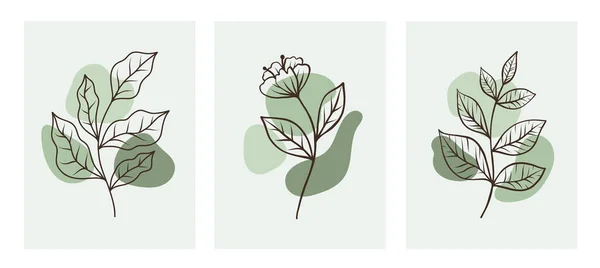 Набір Абстрактних Сучасних Квіткових Зелених Листя Лінії Мистецтва Ботанічного Ескізу — стоковий вектор
