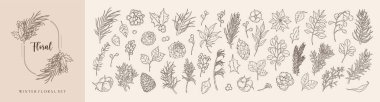 Siyah çizgili sanat eserleri kış botanik Noel süsleri, çam kozalakları, köknar dalları, dallar, yapraklar. Kış çiçekleri çizim çizgisi çizimi. Düğün kartı için vektör özeti çizimi