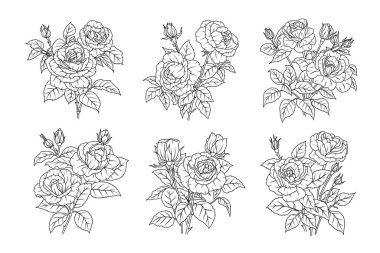 Gül çiçeği çizgisi seti. Çiçekli siyah çizim ana hatları buketler. Yapraklı gül basit botanik bitkisi. Dövme tasarımı için vektör çizimi, çocuklar için boyama sayfaları, düğün davetiyesi