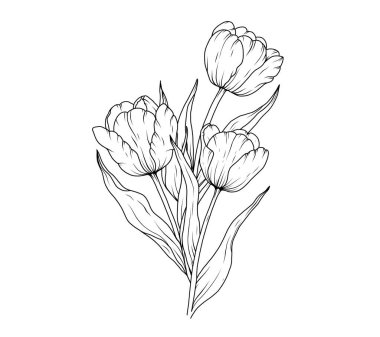 Lale çizgisi çizimi çiçek. El çizimi lale buketi siyah çizim. Soyut çiçek yaprakları. Taslak biçiminde vektör illüstrasyonu