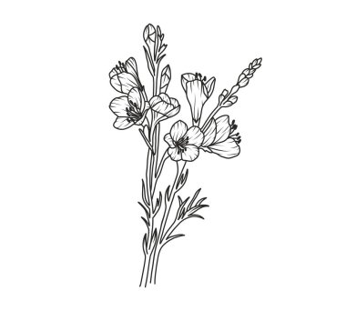 Frezya çiçek hattı sanatı. Çiçekli logo çizimi. Vahşi buket soyut, zarif bahar yaprakları. Siyah, klasik botanik çiçek dalı. Taslak biçiminde vektör illüstrasyonu