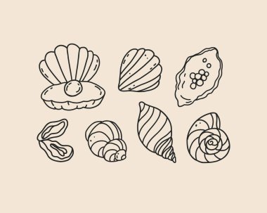 Bir dizi sanat deniz kabuğu. Coquette kaprisli el çizimi deniz kabuğunun karalama çizimi. Plaj okyanusu yaz çizimi. Vektör özet çizimi