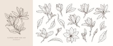 Çiçek manolya çizgisi seti. Dal, yaprak ve tomurcuğun çiçek çizimi. Düğün davetiyesi şablonu için botanik bahar çiçeği. Vektör özet çizimi