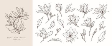 Çiçek manolya çizgisi seti. Dal, yaprak ve tomurcuğun çiçek çizimi. Düğün davetiyesi şablonu için botanik bahar çiçeği. Vektör özet çizimi