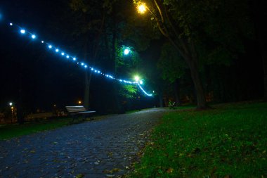 Gece Sonbahar Parkı. Güzel park. Arkaplan.