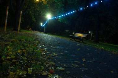 Gece Sonbahar Parkı. Güzel park. Arkaplan.