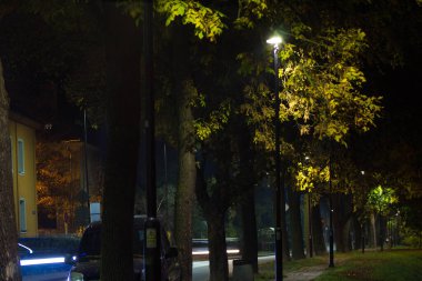Gece Sonbahar Parkı. Güzel park. Arkaplan.