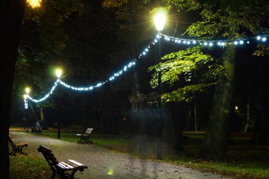 Gece Sonbahar Parkı. Güzel park. Arkaplan.