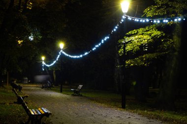 Gece Sonbahar Parkı. Güzel park. Arkaplan.
