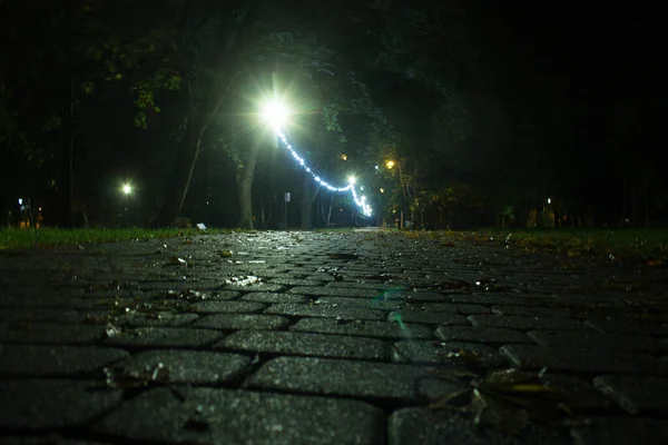 Nocny Jesienny Park Piękny Park Kontekst — Zdjęcie stockowe