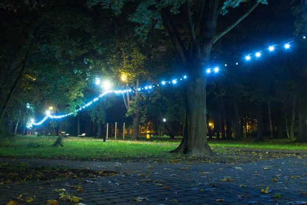 Gece Sonbahar Parkı Güzel Park Arkaplan — Stok fotoğraf