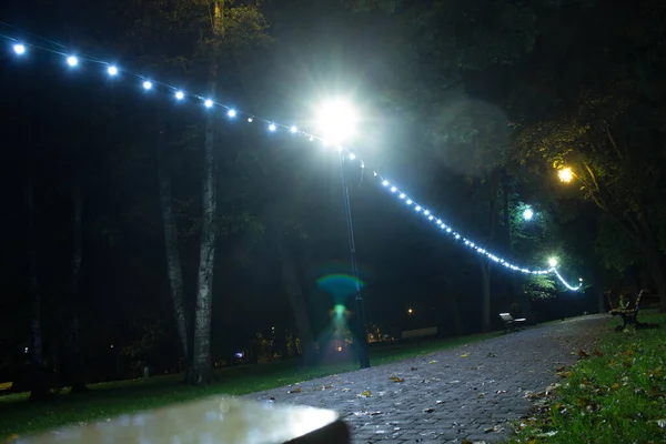 Parque Noturno Outono Belo Parque Contexto — Fotografia de Stock