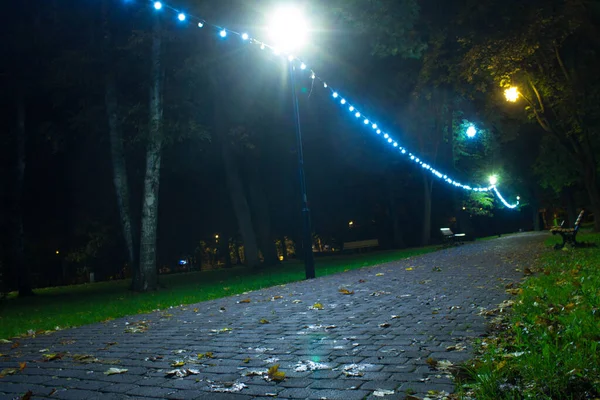 Gece Sonbahar Parkı Güzel Park Arkaplan — Stok fotoğraf