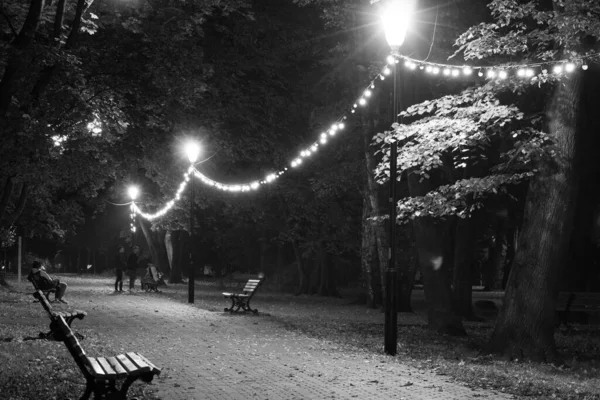 秋夜公园 漂亮的公园背景 — 图库照片