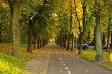 Güzel sonbahar. Sonbahar şehri. Arkaplan.