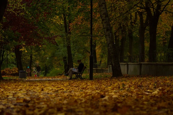 美丽的秋天秋天的城市秋天公园 — 图库照片