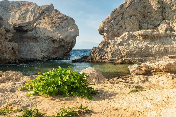 Sterna Playa Rocosa Loutraki Grecia — Foto de Stock
